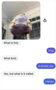Stupid Bar Memes whensyousseesthesfrog