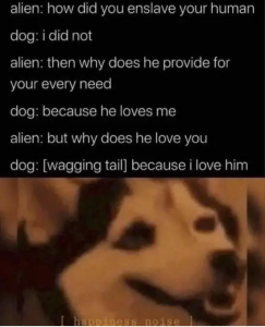 Stupid Bar Memes yJngVH7