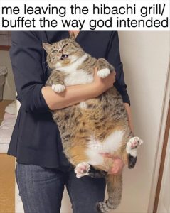 Stupid Bar Memes youresleaving