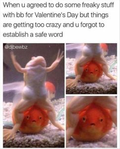 Stupid Bar Memes youressafty