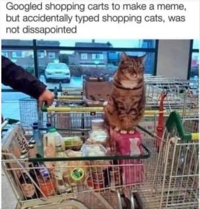 Stupid Bar Memes youresshopping