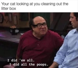 Stupid Bar Memes youresthescat