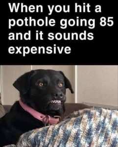 Stupid Bar Memes youreswantingstosdrives1