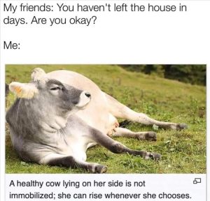 Stupid Bar Memes youreswantingstossee