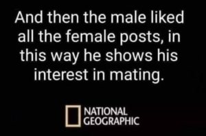 Stupid Bar Memes youreswatchings1