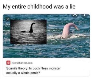 Stupid Bar Memes youreswhales