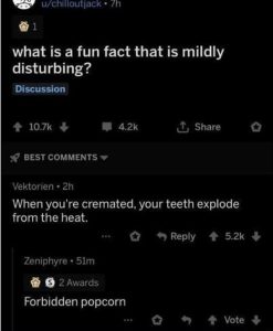 Stupid Bar Memes youresyousfunsfact