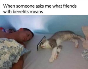 Stupid Bar Memes yzzs44