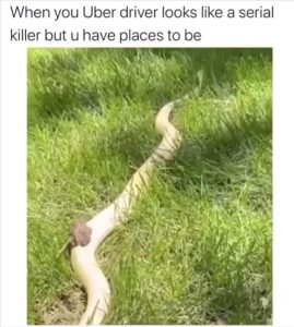 Stupid Bar Memes zsasfuns177