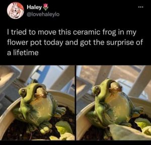 Stupid Bar Memes zsasfuns22