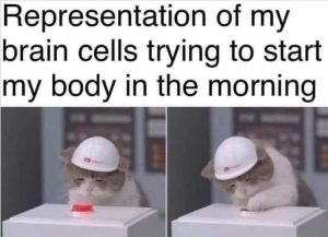 Stupid Bar Memes zsasfuns44