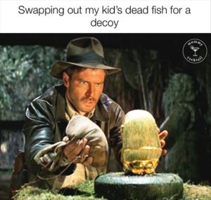 Stupid Bar Memes zsasfuns56