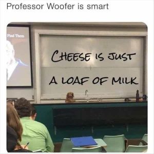 Stupid Bar Memes zsasfuns80