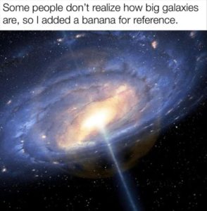 Stupid Bar Memes zsfunnys11s1