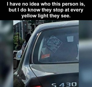 Stupid Bar Memes zsfuns119s3