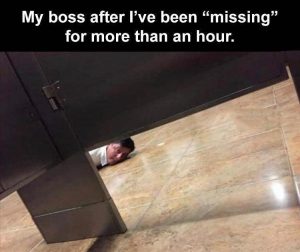 Stupid Bar Memes zsfuns139