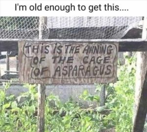Stupid Bar Memes zsfuns146s1