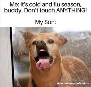 Stupid Bar Memes zsfuns148s1