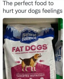 Stupid Bar Memes zsfuns153s3