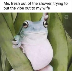 Stupid Bar Memes zsfuns18s2