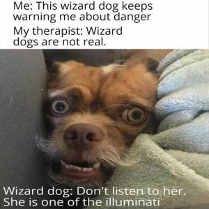 Stupid Bar Memes zsfuns198s2