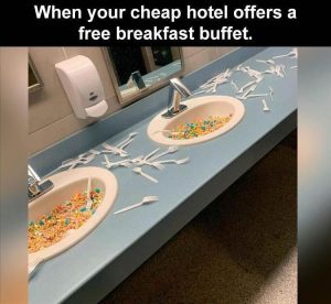 Stupid Bar Memes zsfuns209s1