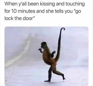 Stupid Bar Memes zsfuns306