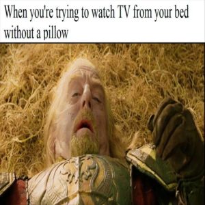 Stupid Bar Memes zsfuns32 1