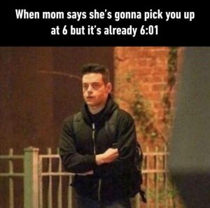 Stupid Bar Memes zsfuns44s2