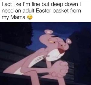 Stupid Bar Memes zsfuns47s1