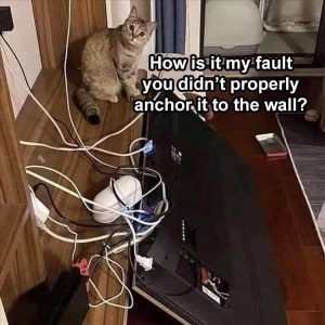 Stupid Bar Memes zsfuns47s2