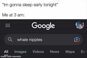 Stupid Bar Memes zsfuns61