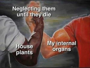 Stupid Bar Memes zsfuns82s1