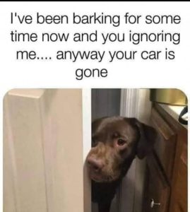 Stupid Bar Memes 066cc7bed1f7d21e