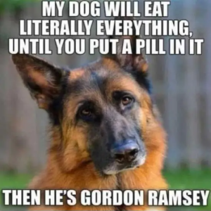 Stupid Bar Memes 0a4b85c6sd0d1s4911s9d2bscf7b7068c19a