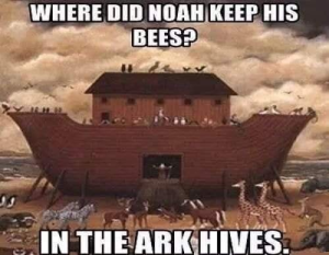Stupid Bar Memes 17619266e62b2b21