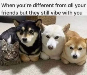 Stupid Bar Memes 1d1804784d1393f0