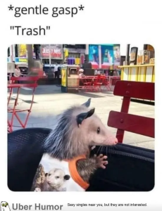 Stupid Bar Memes 1pEct2k
