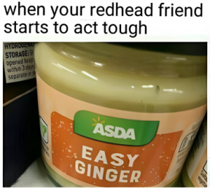 Stupid Bar Memes 2603132253f6d63d