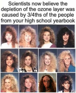 Stupid Bar Memes 284fbc56c6dbc53a