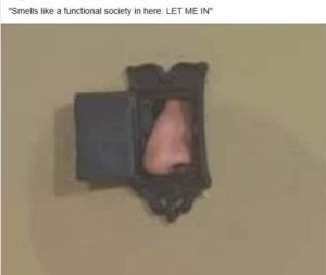 Stupid Bar Memes 2b2dc4b9b7b402a5