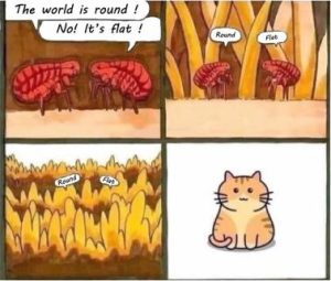 Stupid Bar Memes 336a9d4d80cd07f6