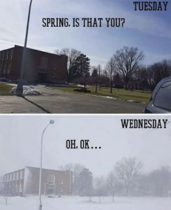 Stupid Bar Memes 36as65f99f269b9f2ss700