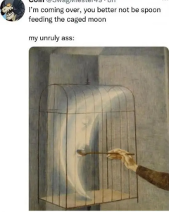 Stupid Bar Memes 36uqaZ7