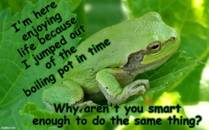Stupid Bar Memes 39132b3b4bb63087