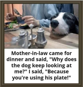 Stupid Bar Memes 3a7925a5f07575bb