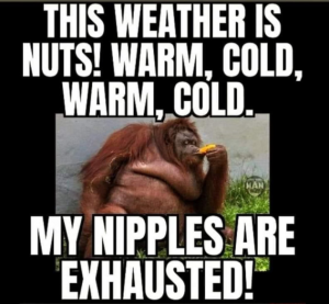 Stupid Bar Memes 3d13b11558aa2f12