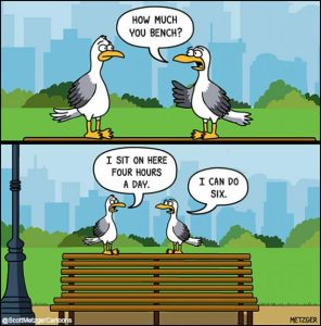 Stupid Bar Memes 3dae1badebd81af9