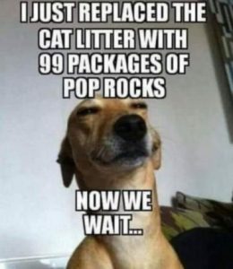 Stupid Bar Memes 3fa8808cf08ee8d1