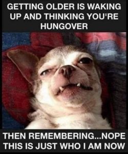 Stupid Bar Memes 42afd528793c3889